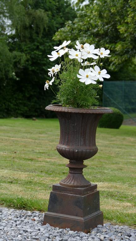 Aux Cosmos Bed & Breakfast Olne Rom bilde